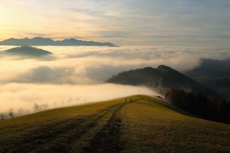 Mountain Trail Trek